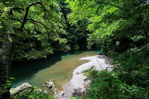 Exploring Tokyo S Hidden Oasis