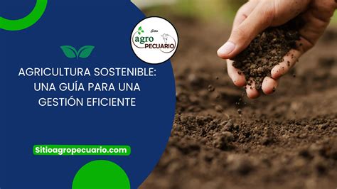 Agricultura Sostenible Una Guía Para Una Gestión Eficiente