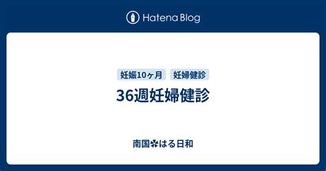 36週妊婦健診 南国 はる日和