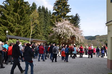 825 Jahre Naurath Anwanderung 37 Naurath Wald