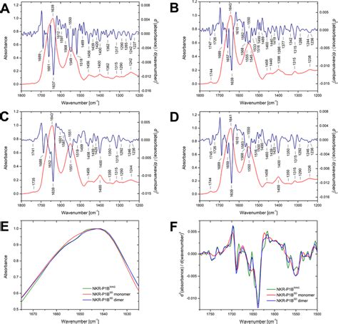 FTIR Spectroscopy Analysis Of Recombinant Dimeric Rat NK Cell