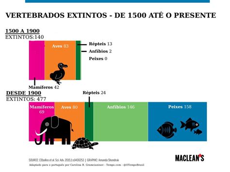 A sexta extinção em massa já começou