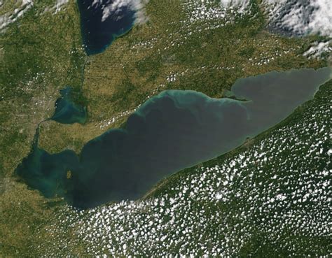 New Tool To Track Harmful Algae Blooms
