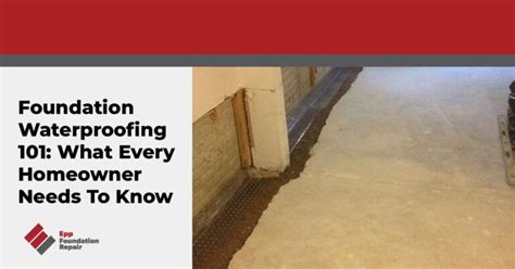 Foundation Waterproofing 101 Every Homeowner Needs To Know