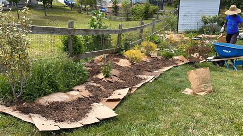 Sheet Mulching A Garden Bed Youtube