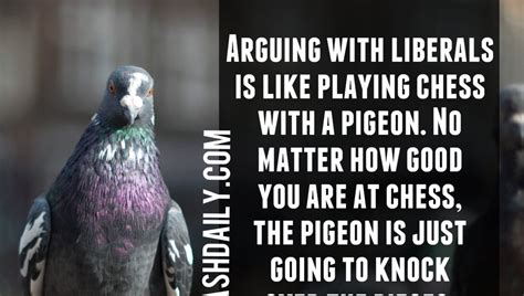 Pigeon Quotes. QuotesGram