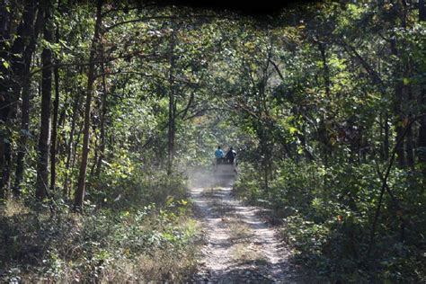 कोरोनाले थलिएको पर्सा राष्ट्रिय निकुञ्ज पर्यटकको पर्खाइमा