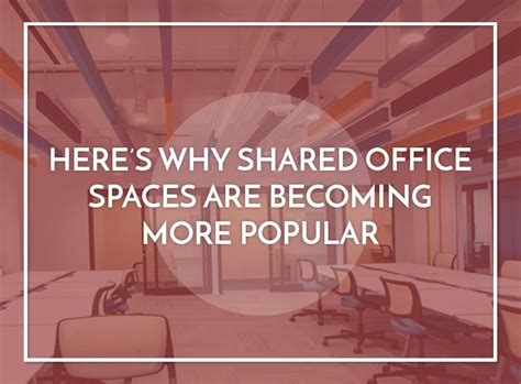 Why Shared Office Spaces Are Popular Metroffice