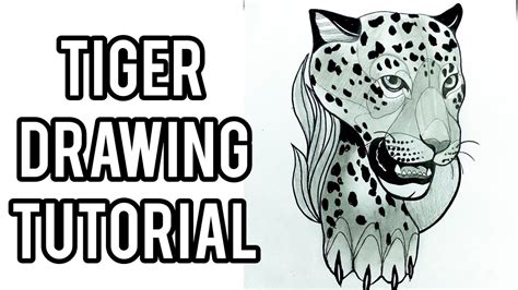 Como Dibujar Un Tigre Facil Paso A Paso Dibujo De Tigre Tutor A