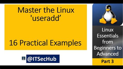 Master The Linux Useradd Command 16 Practical Examples Linux