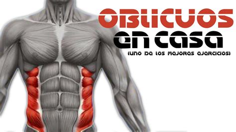 ABDOMINALES OBLICUOS EN CASA UNO DE LOS MEJORES EJERCICIOS YouTube