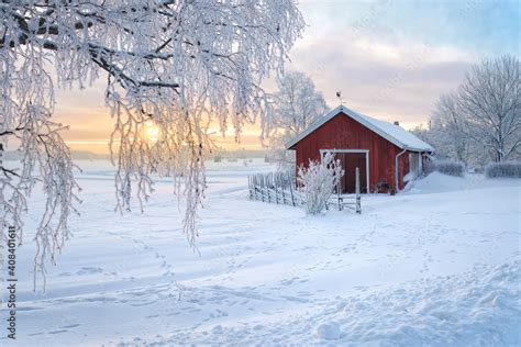 Winter View Of A Red Barn At Sunset In Rusko Finland Trees Covered