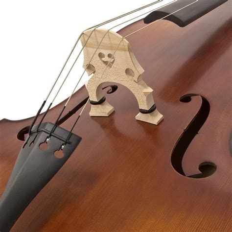 Archer 3 4 Size Professional Double Bass By Gear4music At Gear4music