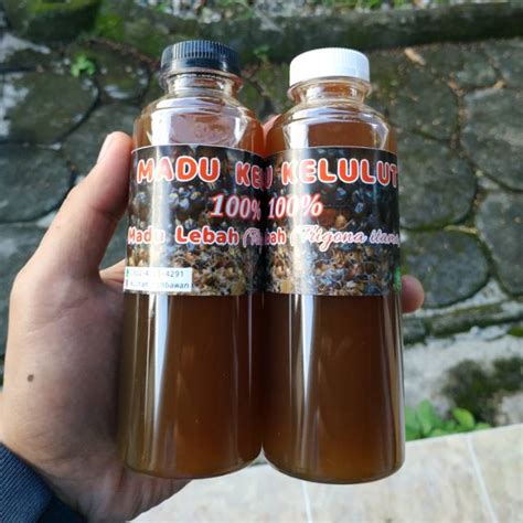 Jual Madu Kelulut 100 Murni Dari Lebah Trigona Itama Shopee Indonesia