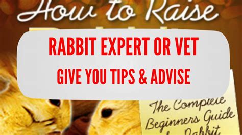 Raising Better Rabbitsdiscover The Right Way Of Raising Health Rabbits