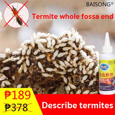 【termites Are Free Within 100 M】termite Killer 75g Anay Killer Spray