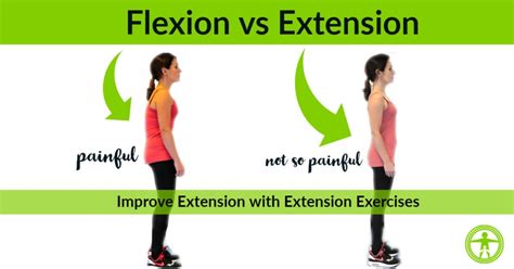 Lumbar Flexion Vs Extension