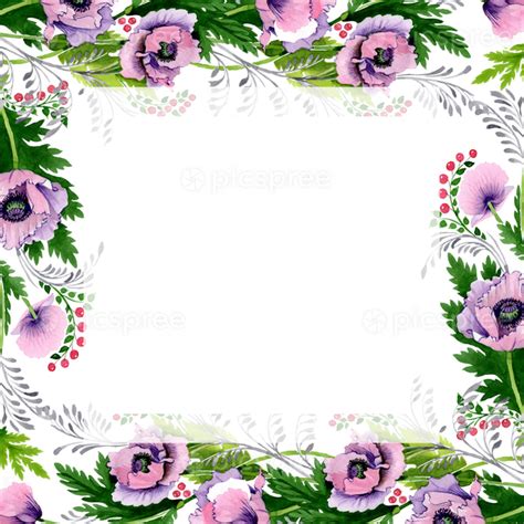 Free Pink Purple Poppy Floral Botanical Flower Watercolor Background