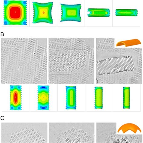 bending   lateral shapes defined   illuminated area