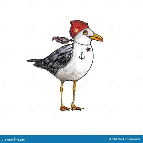 Watercolor Seagull Hand Drawn Illustration Bird Illustration Royalty