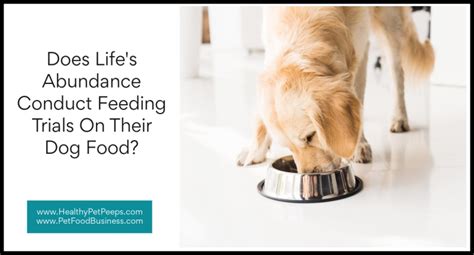 Does Life's Abundance Conduct Feeding Trials On Their Dog Food? - Healthy Pet Peeps