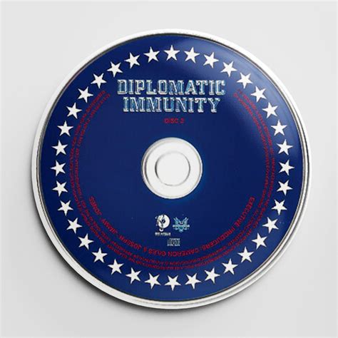 The Diplomats Diplomatic Immunity Disc 2 Button Pin New York Hip Hop Etsy