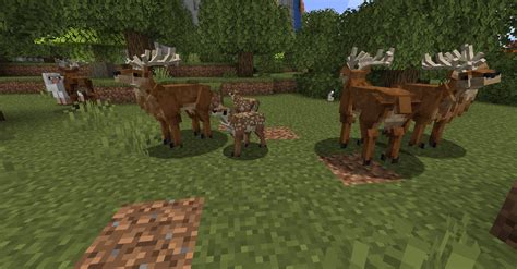 Better Animals Plus Minecraft Mods Curseforge