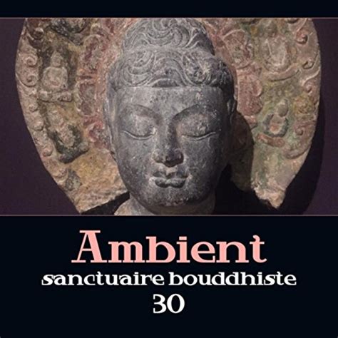 Amazon Ambient sanctuaire bouddhiste 30 Musique de méditation