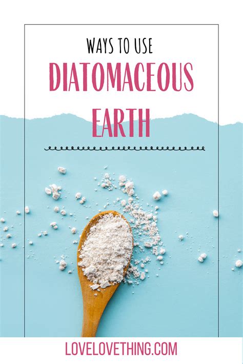 Diatomaceous Earth Uses: 13 Smart Ways To Use Diatomaceous Earth In ...