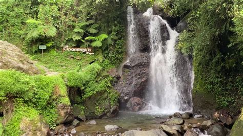 Curug Cipamingkis Wisata Alam Favorit Camping Di Bogor