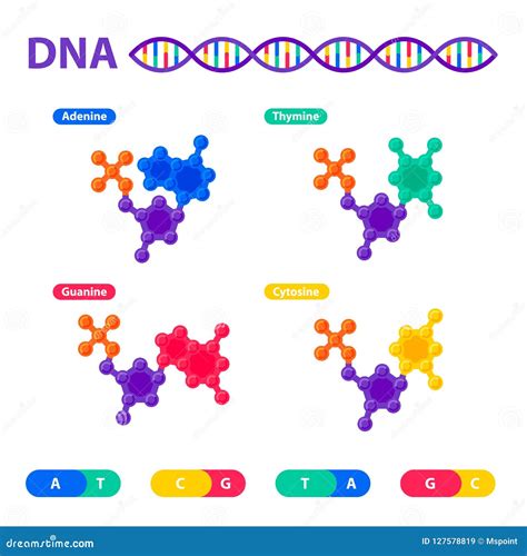 脱氧核糖核酸结构，程序化概念的染色体 纳米技术和生化实验室 脱氧核糖核酸，染色体分子螺旋或 向量例证 插画 包括有 健康 制造