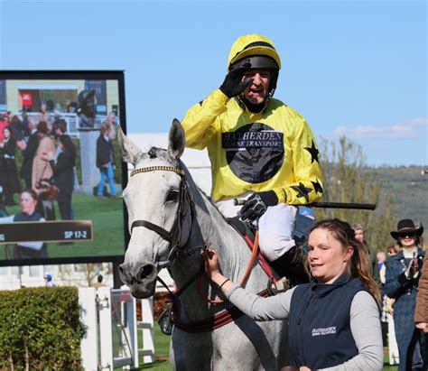 'It's been blinking frustrating' - Cheltenham winner a major boost for ...