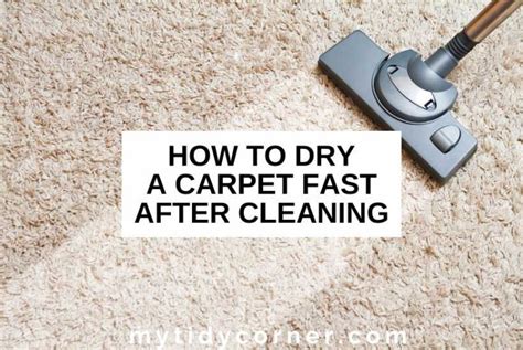 How To Dry A Carpet Fast After Cleaning Quick Drying Tips