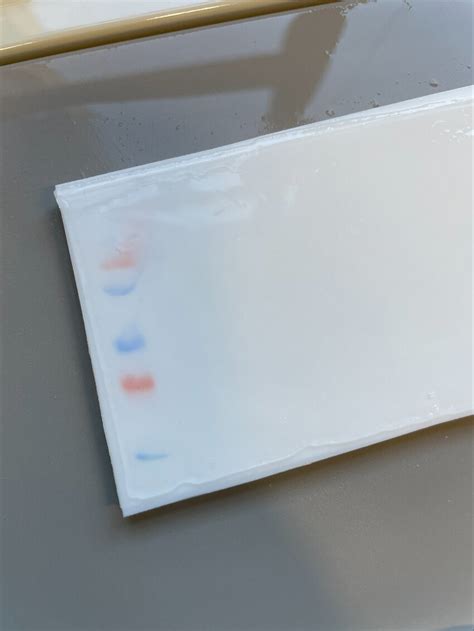 questions  answers  western blot scientific method