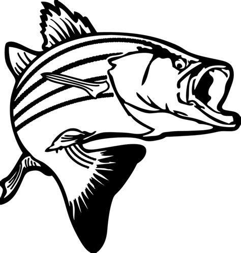 Walleye Drawing At Getdrawings Free Download