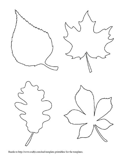 Oak Leaf Drawing Template at PaintingValley.com | Explore collection of ...