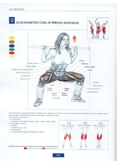 Guia dos Movimentos de Musculação Workout posters Best workout