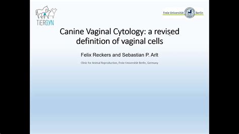 Canine Vaginal Cytology A Revised Definition Of Vaginal Cells Poster