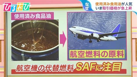 使用済み食用油で飛行機が飛ぶ！？持続可能な航空燃料「saf」に注目集まる【ひるおび】 Tbs News Dig