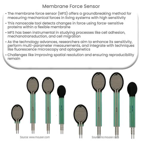 Membrane Force Sensor How It Works Application Advantages