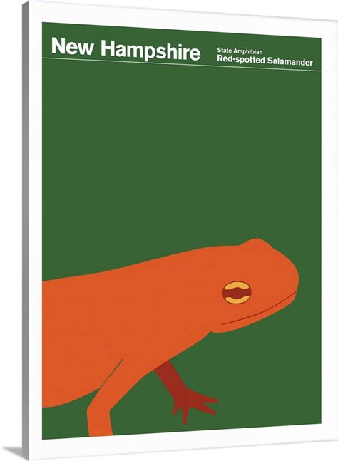 State Posters New Hampshire State Amphibian Red Spotted Salamander