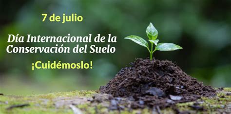 La Importancia De La Conservación Del Suelo