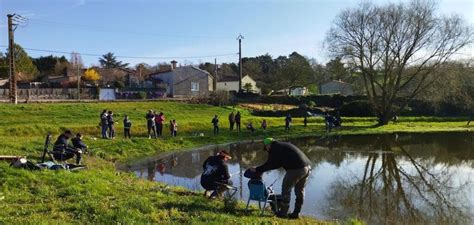 Montrevault sur Èvre Une pêche à la truite réservée aux enfants samedi