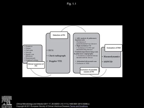 Pulmonary Hypertension And Human Immunodeficiency Virus Infection