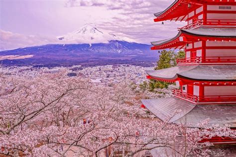 新倉山浅間公園で桜と五重塔と富士山を撮影してきた 久保清隆のブログ