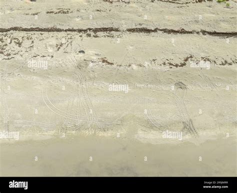 Aerial Photo Loggerhead Turtle Tracks On The Sand Jupiter Island