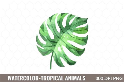 Watercolor Tropical Animals Clipart (3527342)