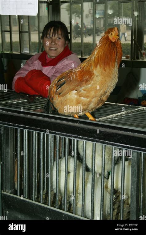 Live chicken in a food market in Shanghai China Stock Photo - Alamy