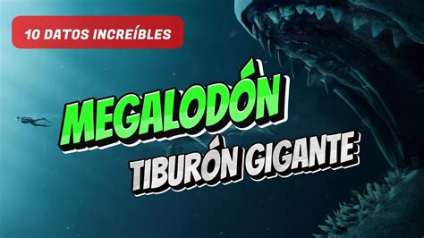 Descubriendo Al Megalod N La Verdad Sobre El Gigantesco Tibur N