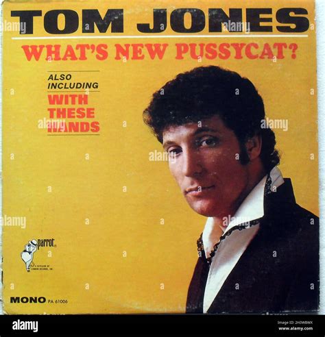 Tom Jones 1960s Lp Record Album Original Vintage Vinyl Whats New